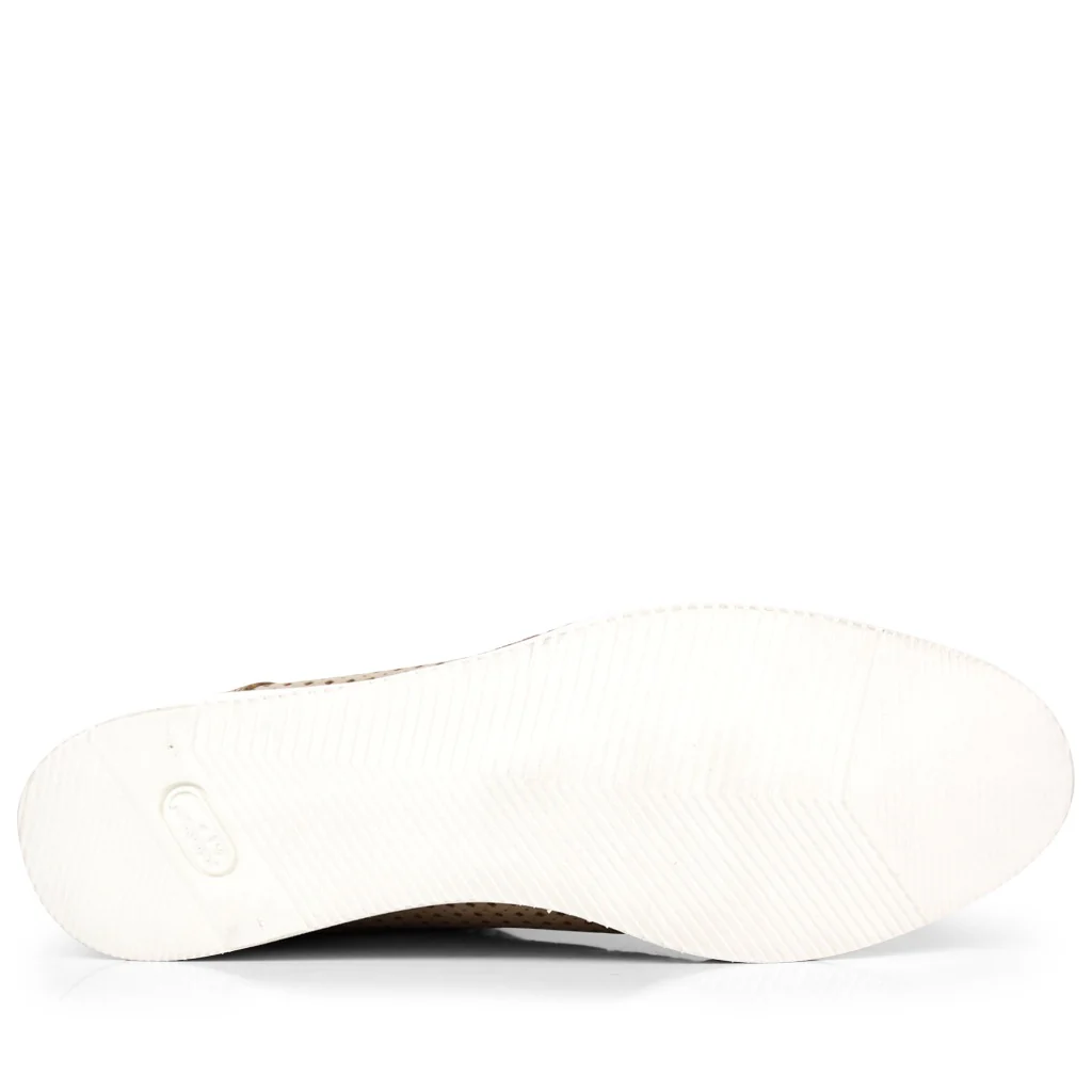 Polly 2 - Image 3