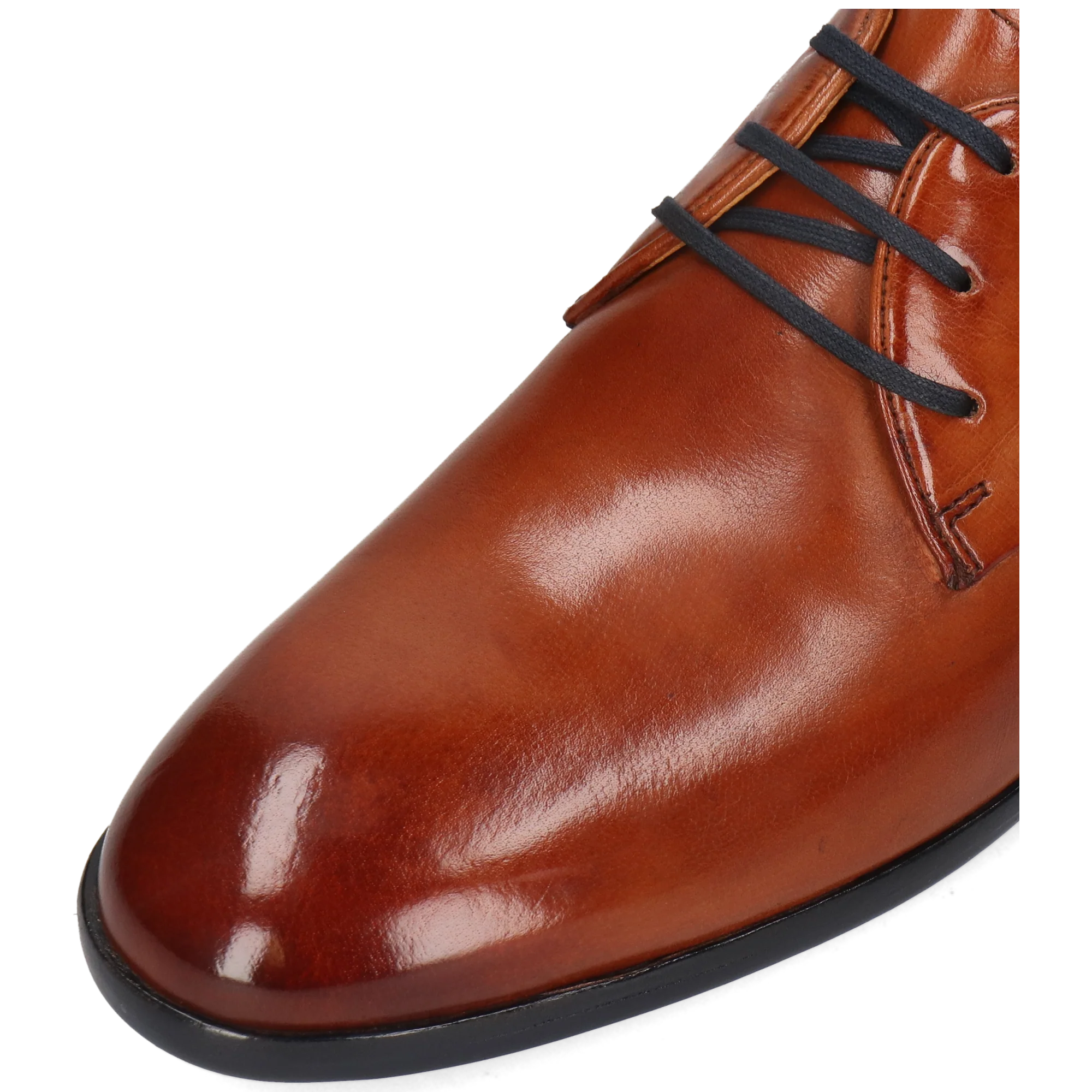 Primo 1 - Image 5