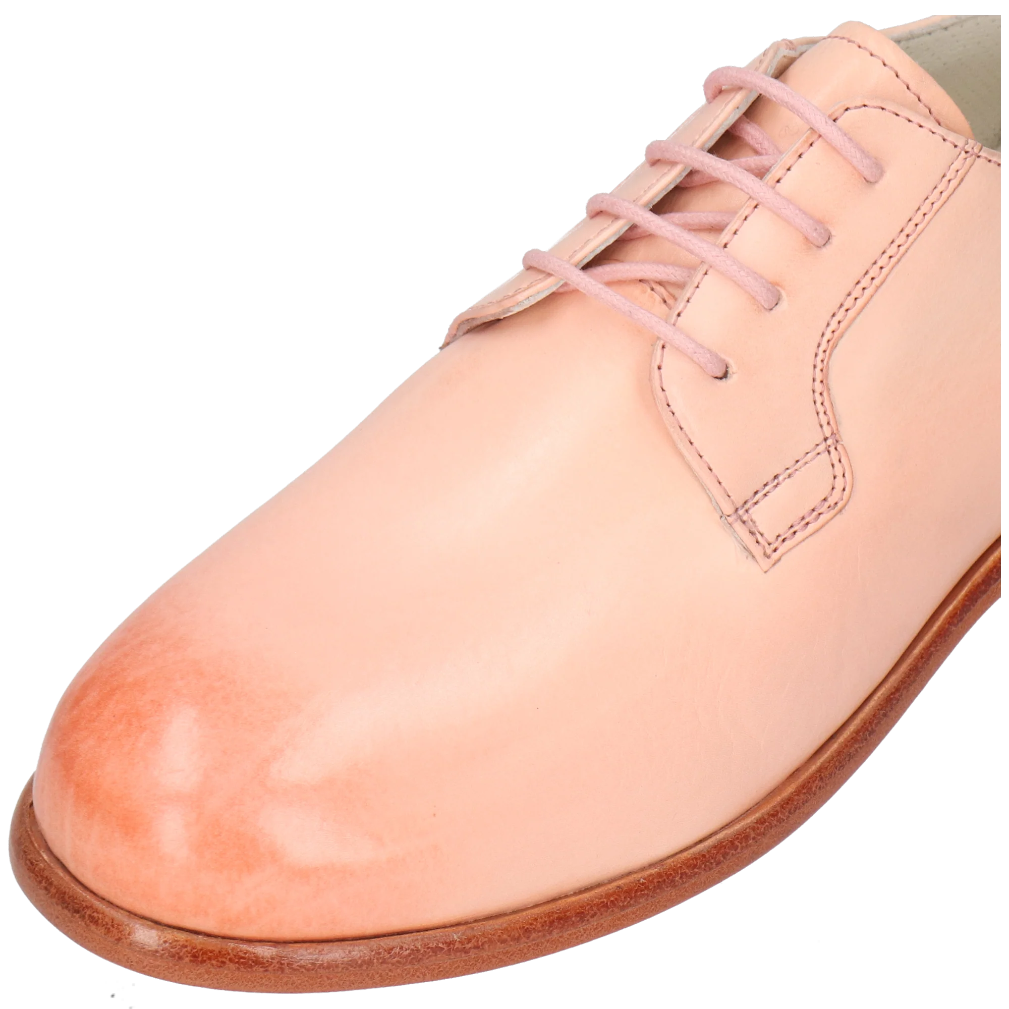 Regine 16 - Image 5