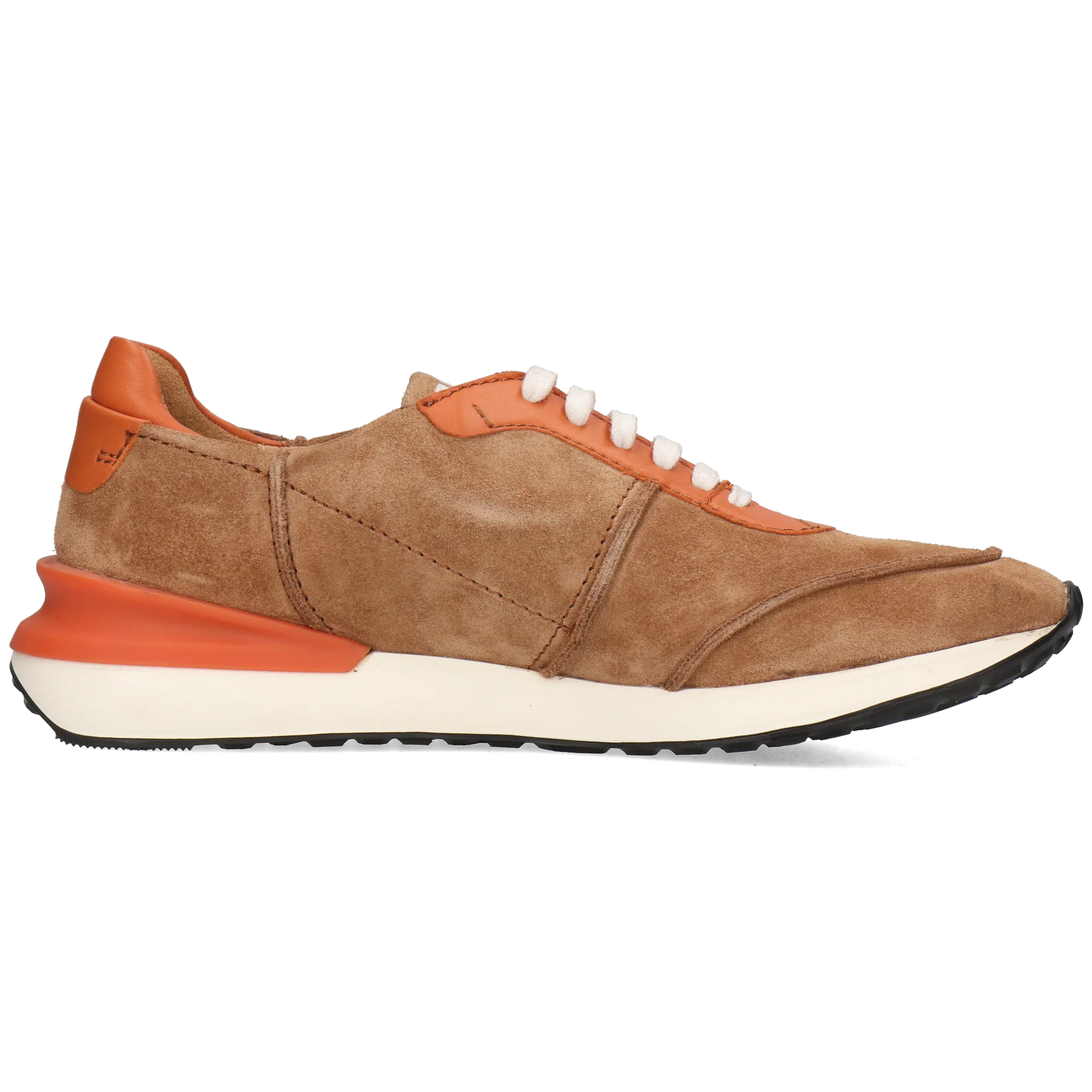 Rocco 1 - Image 2