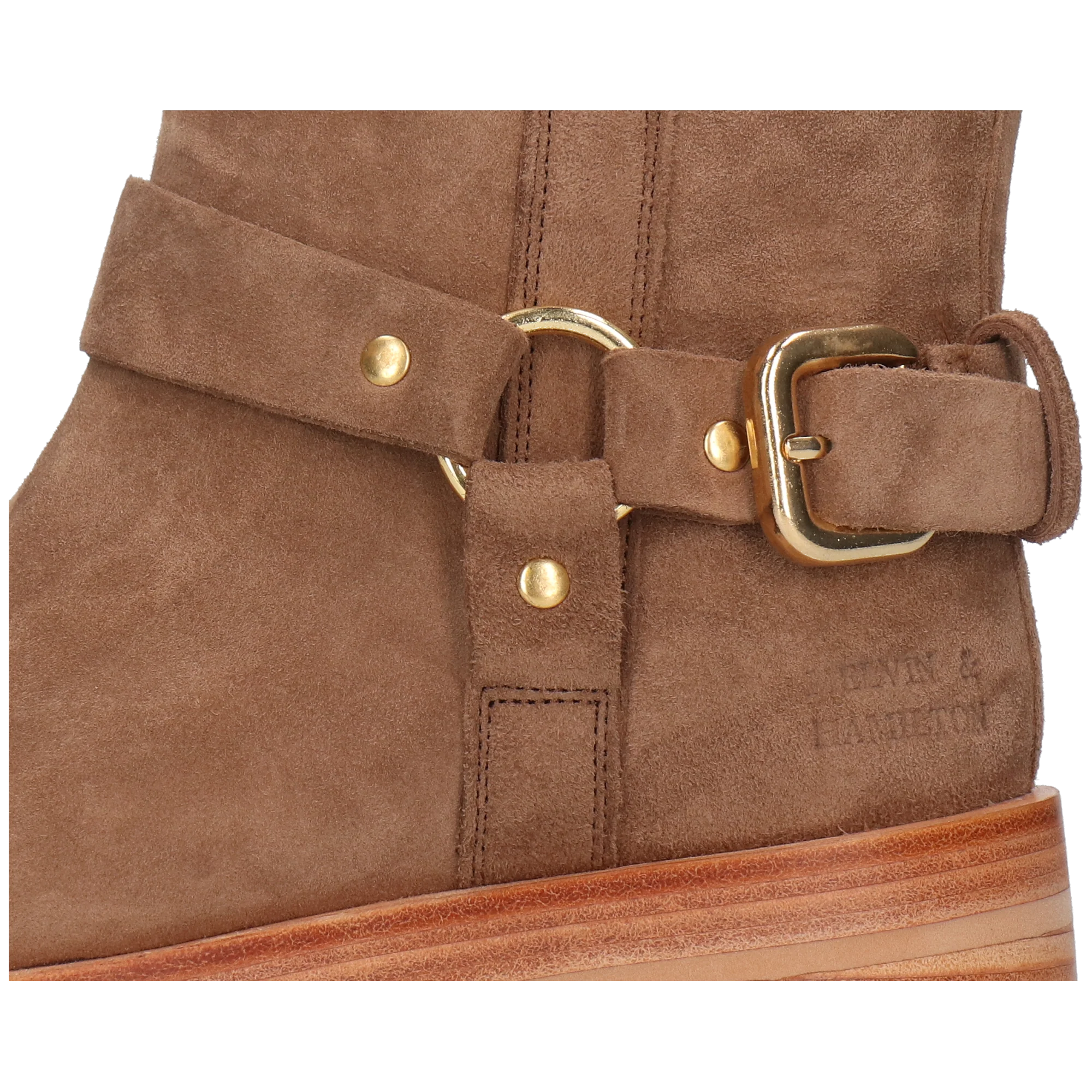 Sadie 2 - Image 5