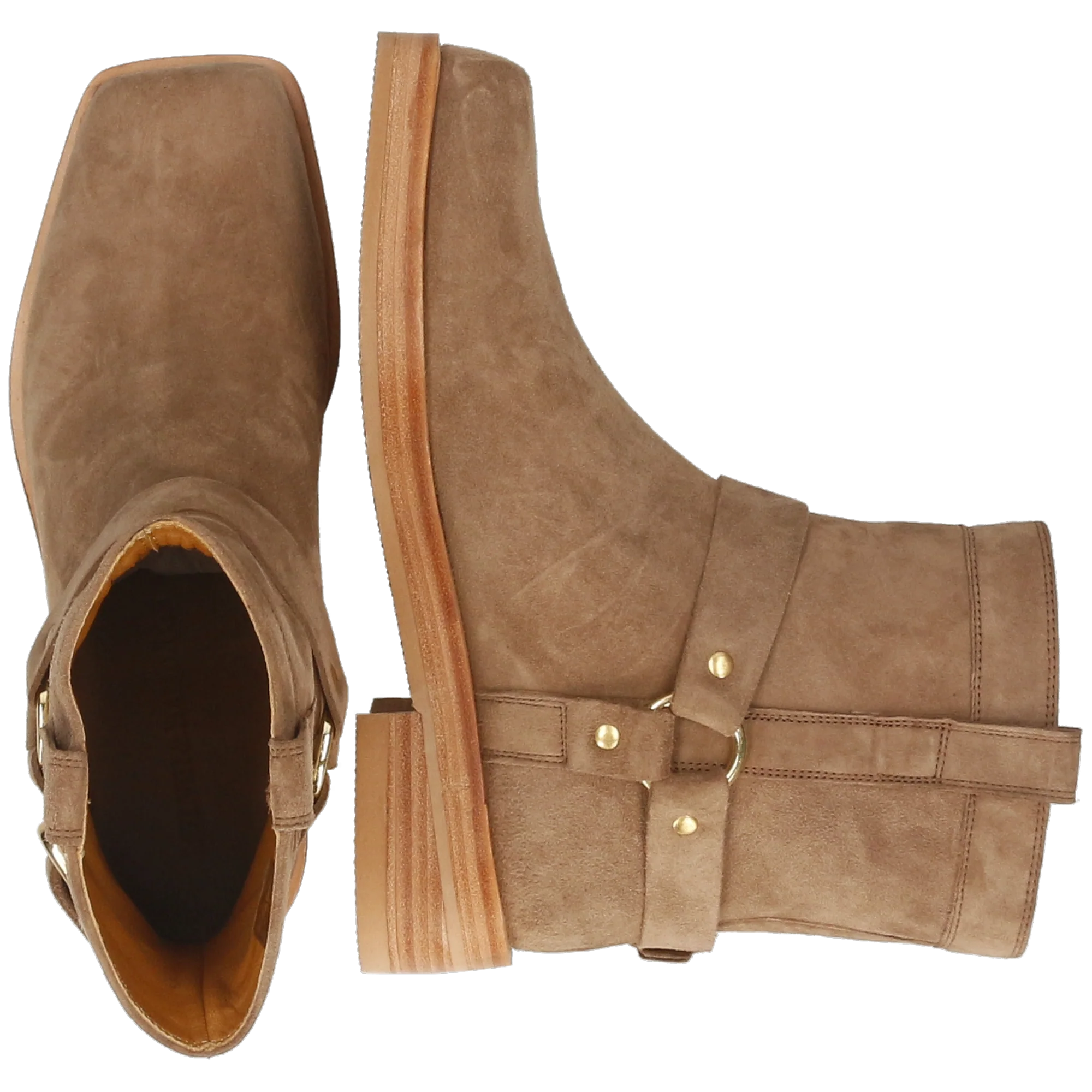 Sadie 2 - Image 6