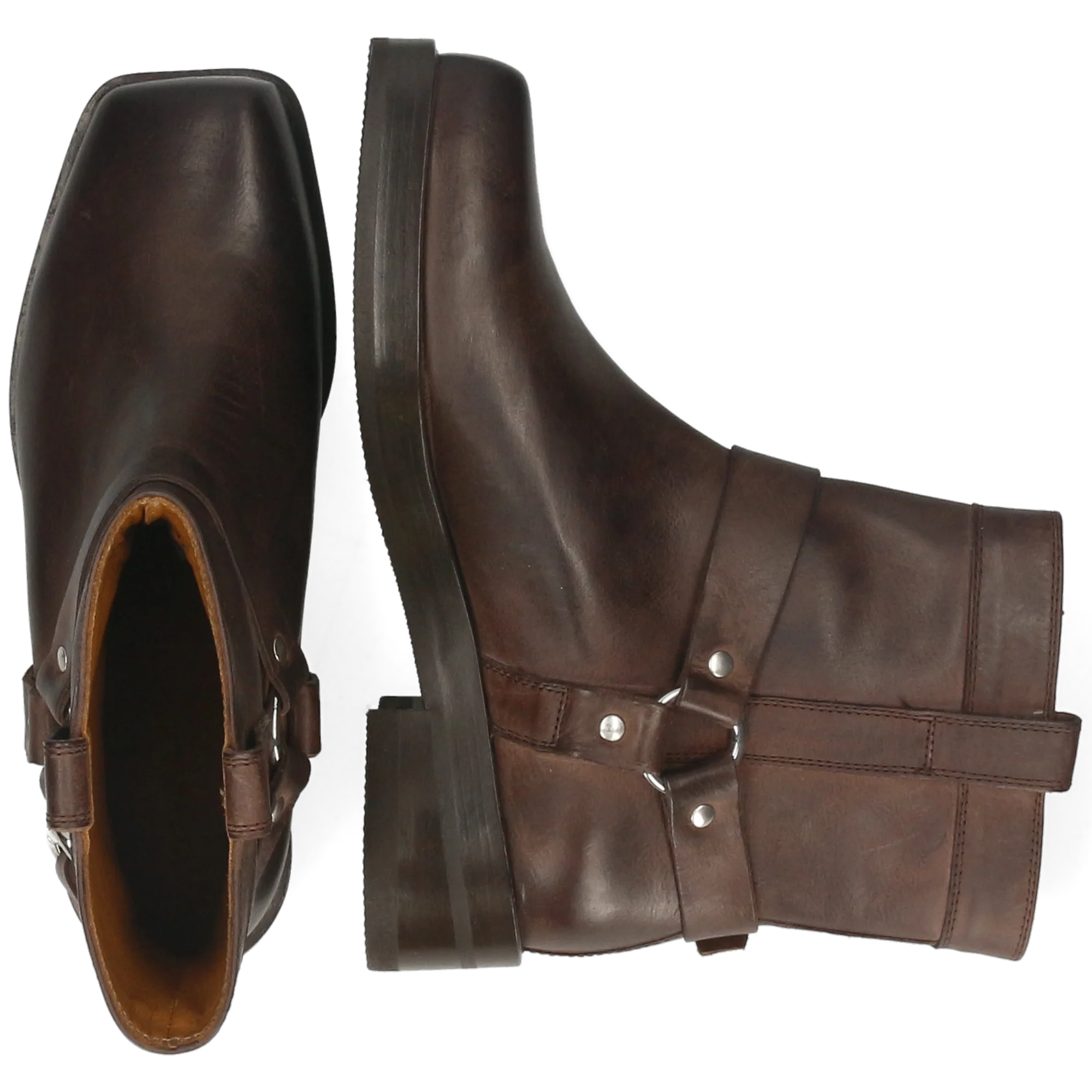 Sadie 2 - Image 6