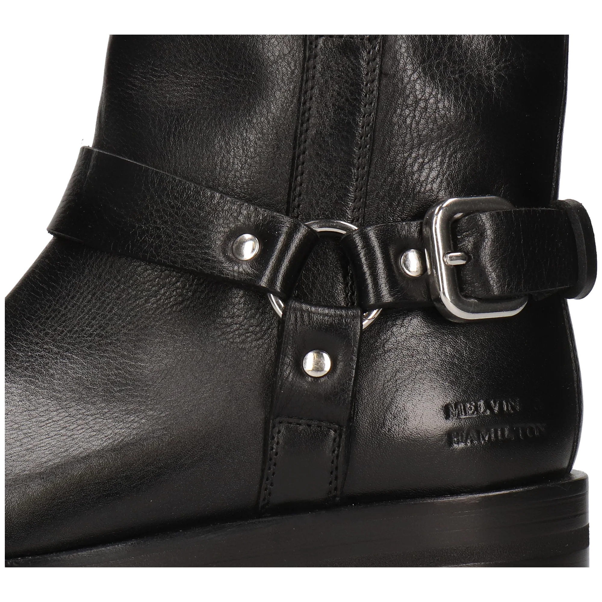 Sadie 2 - Image 5