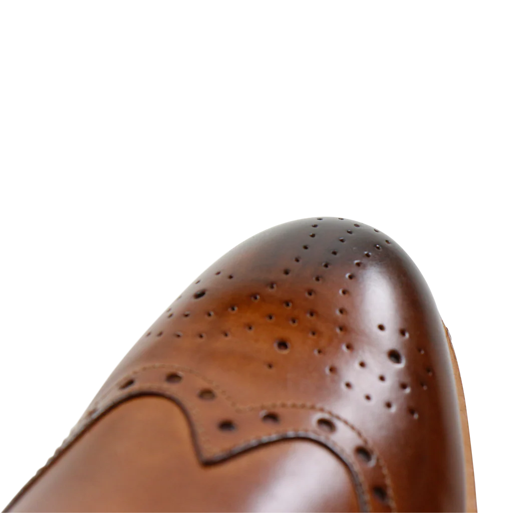 Scott 2 - Image 6