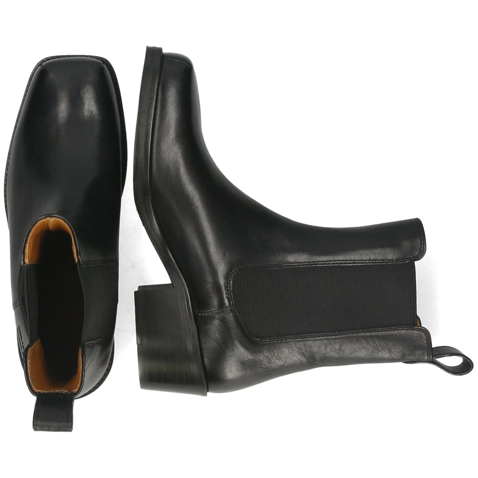 Shelby 2 - Image 6