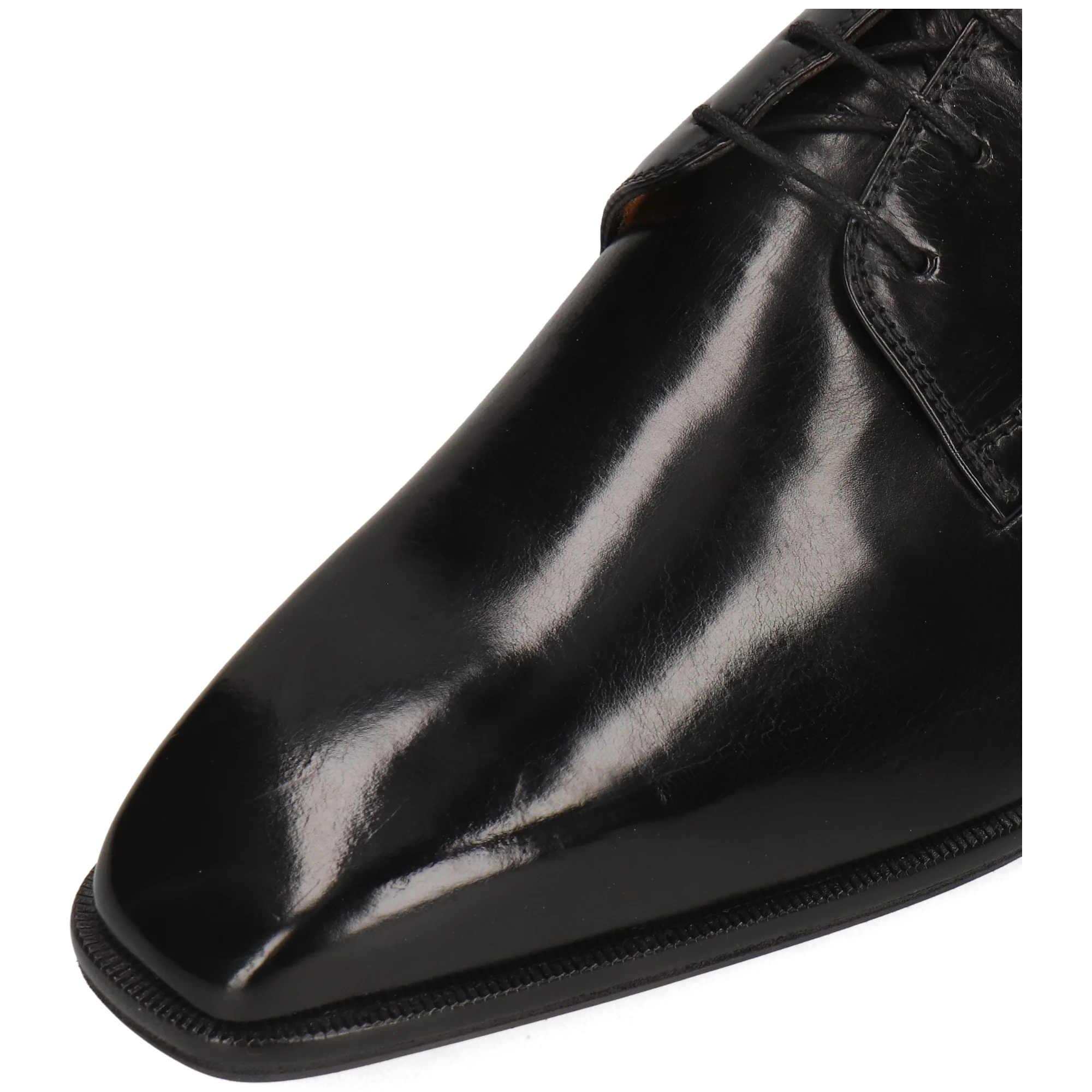 Stefano 1 - Image 5