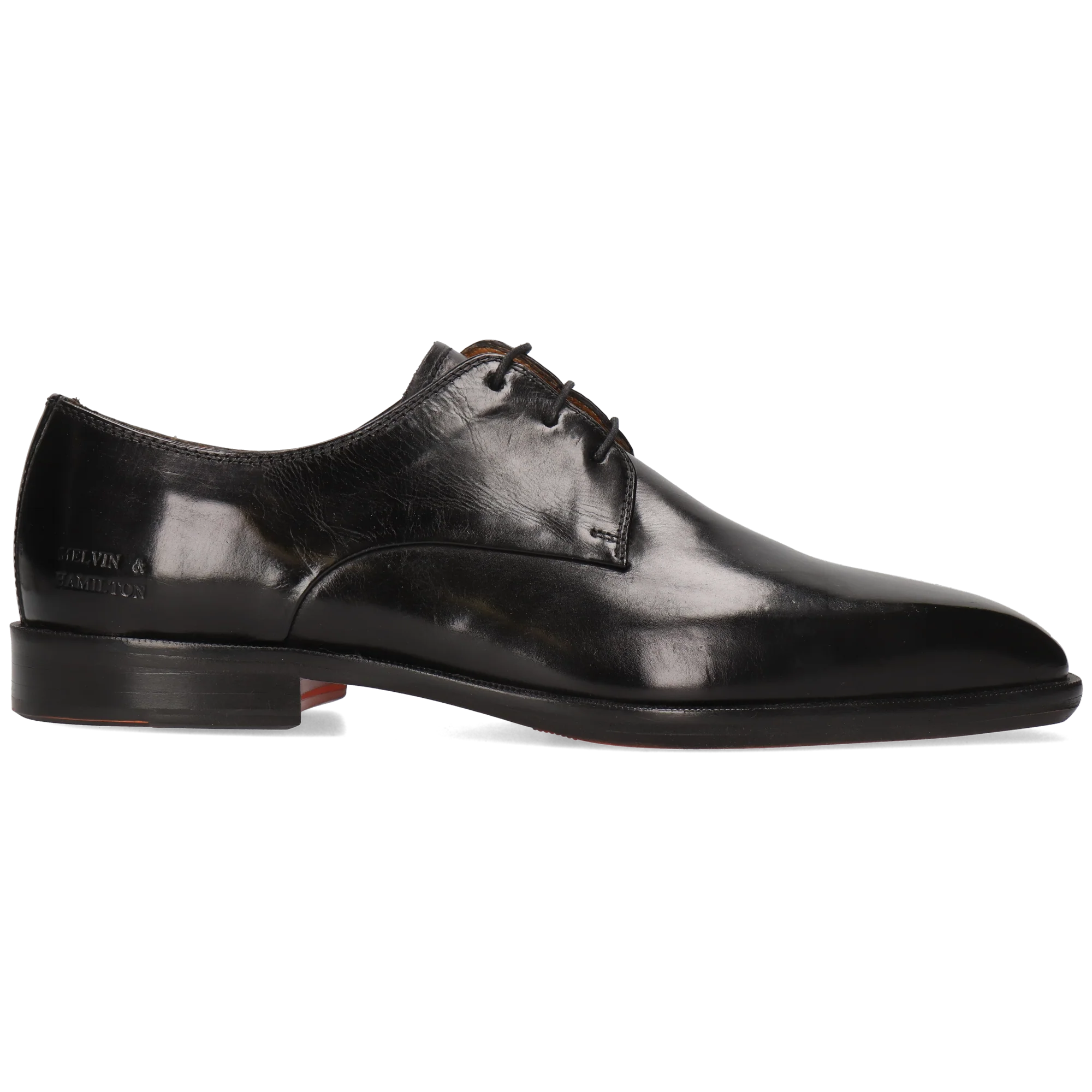 Stefano 1 - Image 7