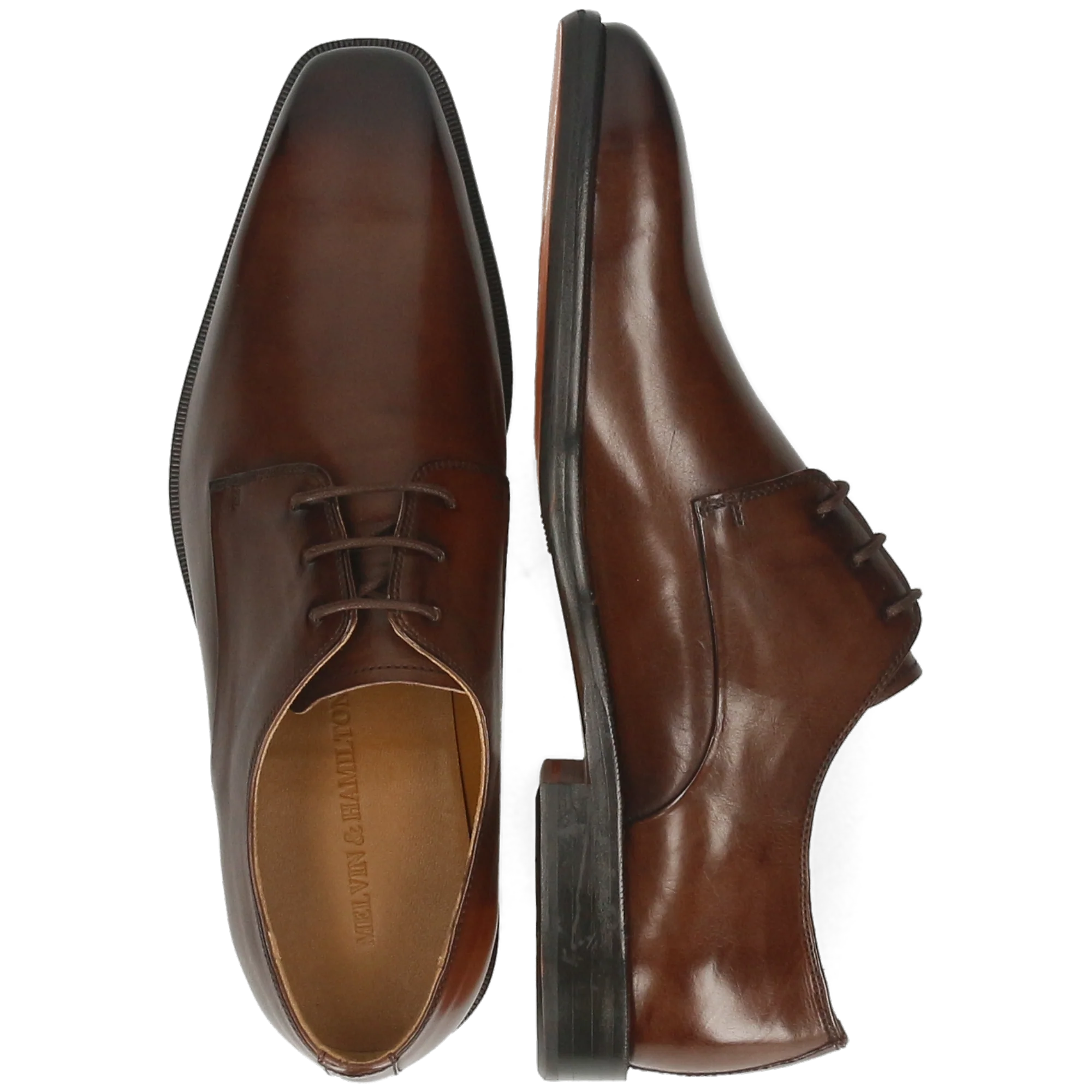 Stefano 1 - Image 6