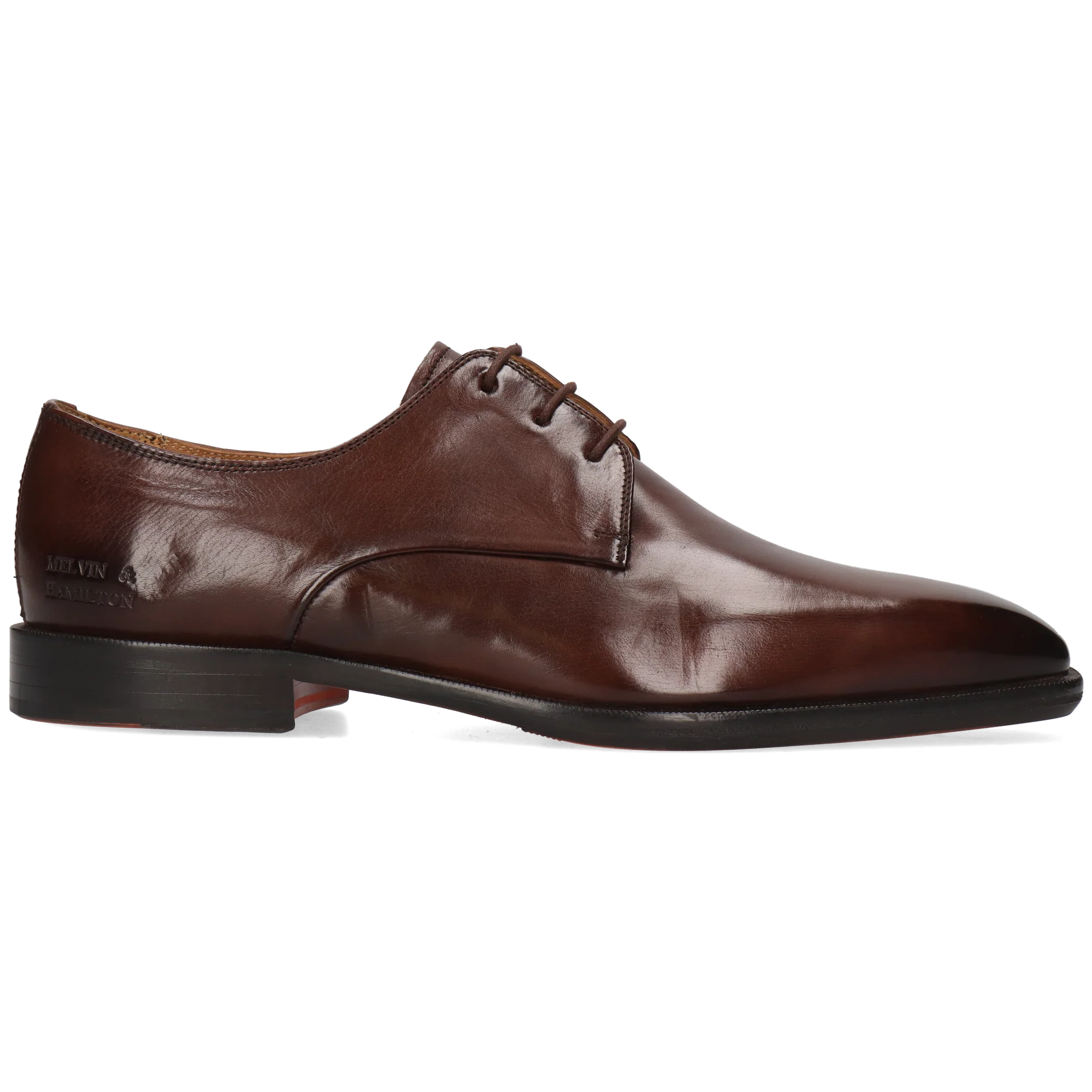 Stefano 1 - Image 7