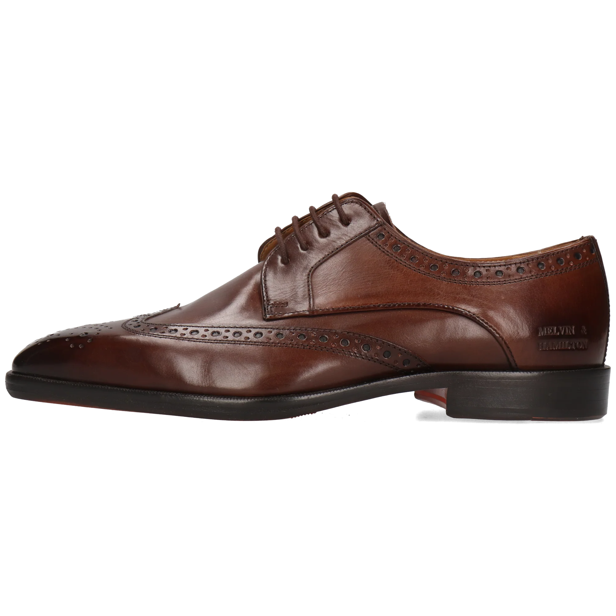 Stefano 4 - Image 3