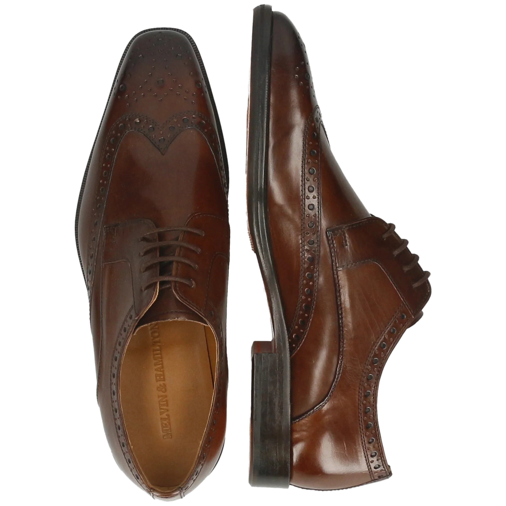 Stefano 4 - Image 6