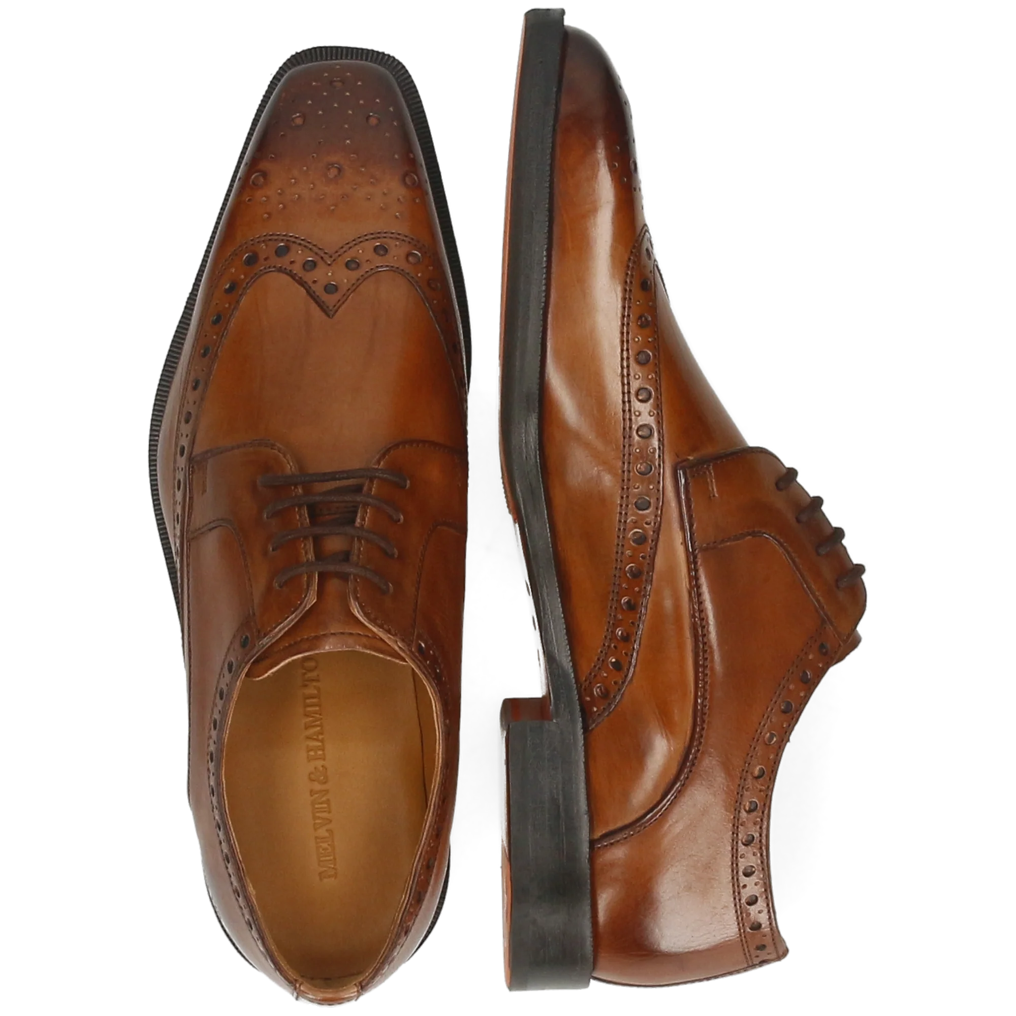 Stefano 4 - Image 6