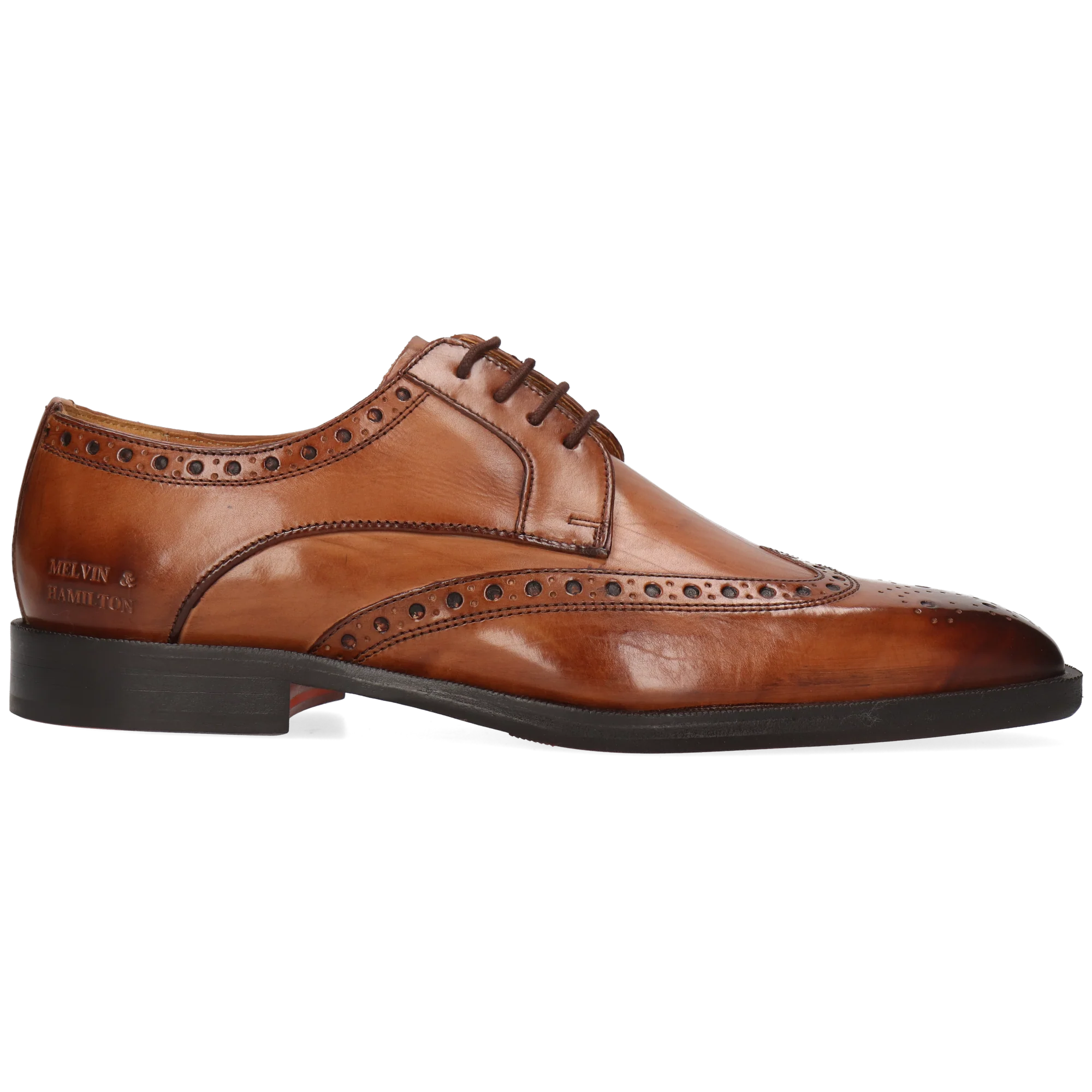 Stefano 4 - Image 7