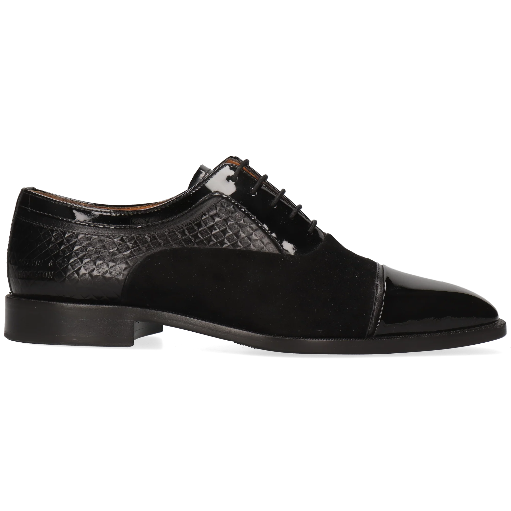 Stefano 5 - Image 7