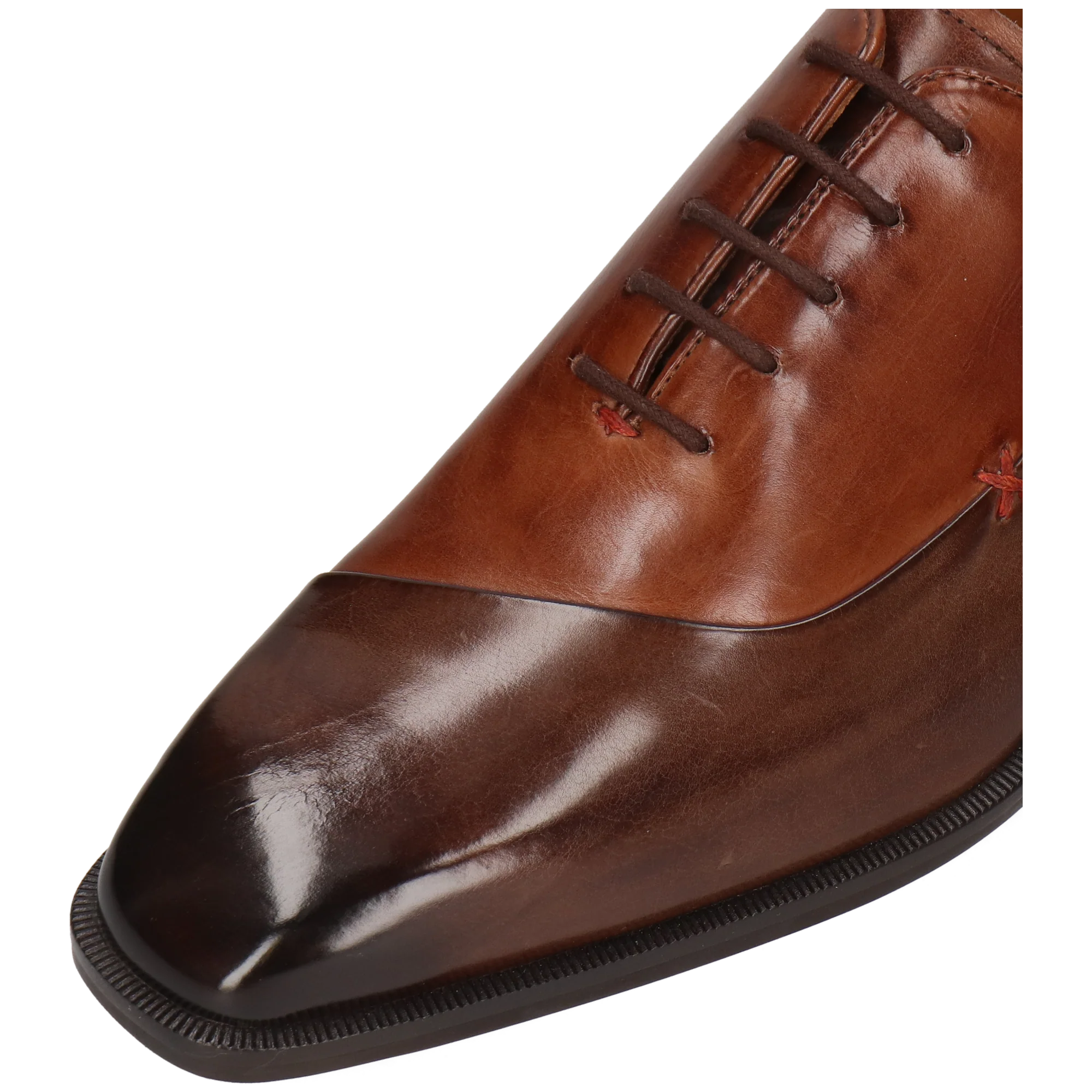 Stefano 6 - Image 5