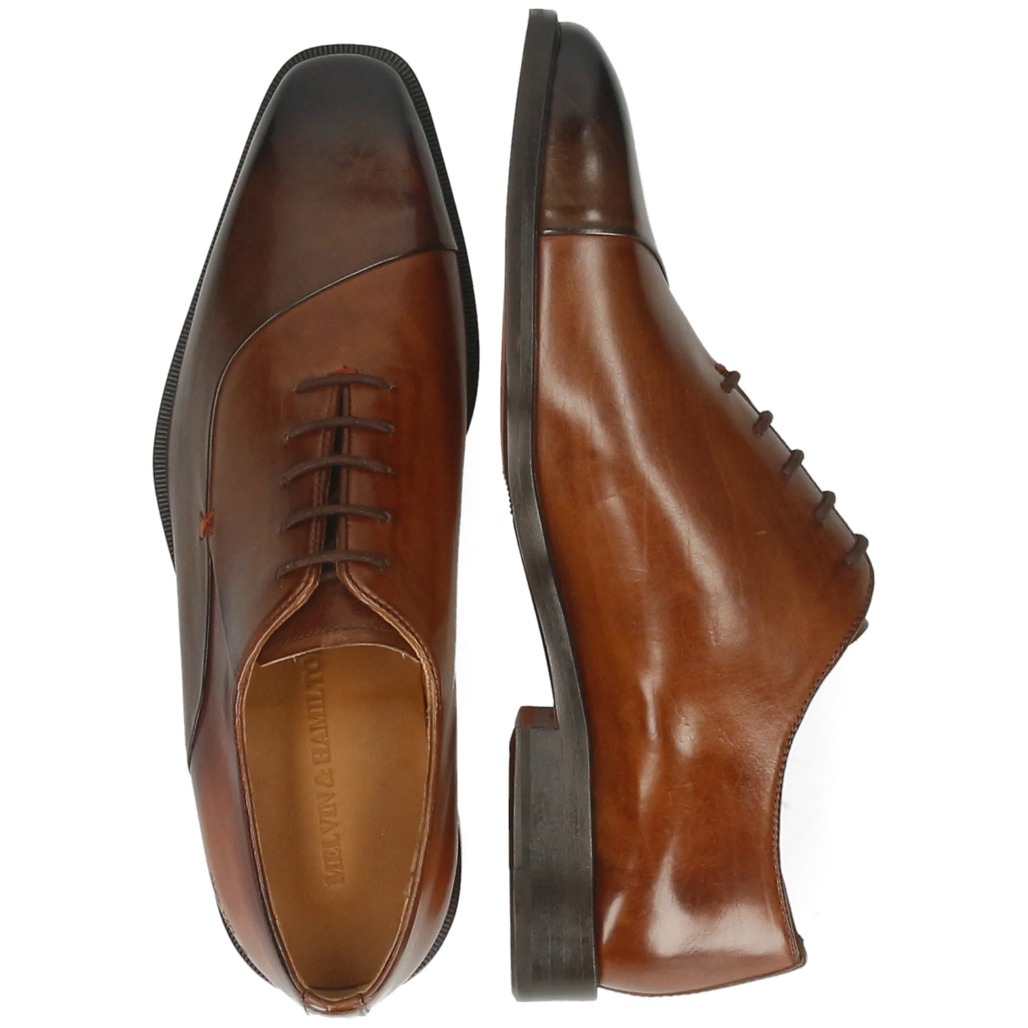 Stefano 6 - Image 6