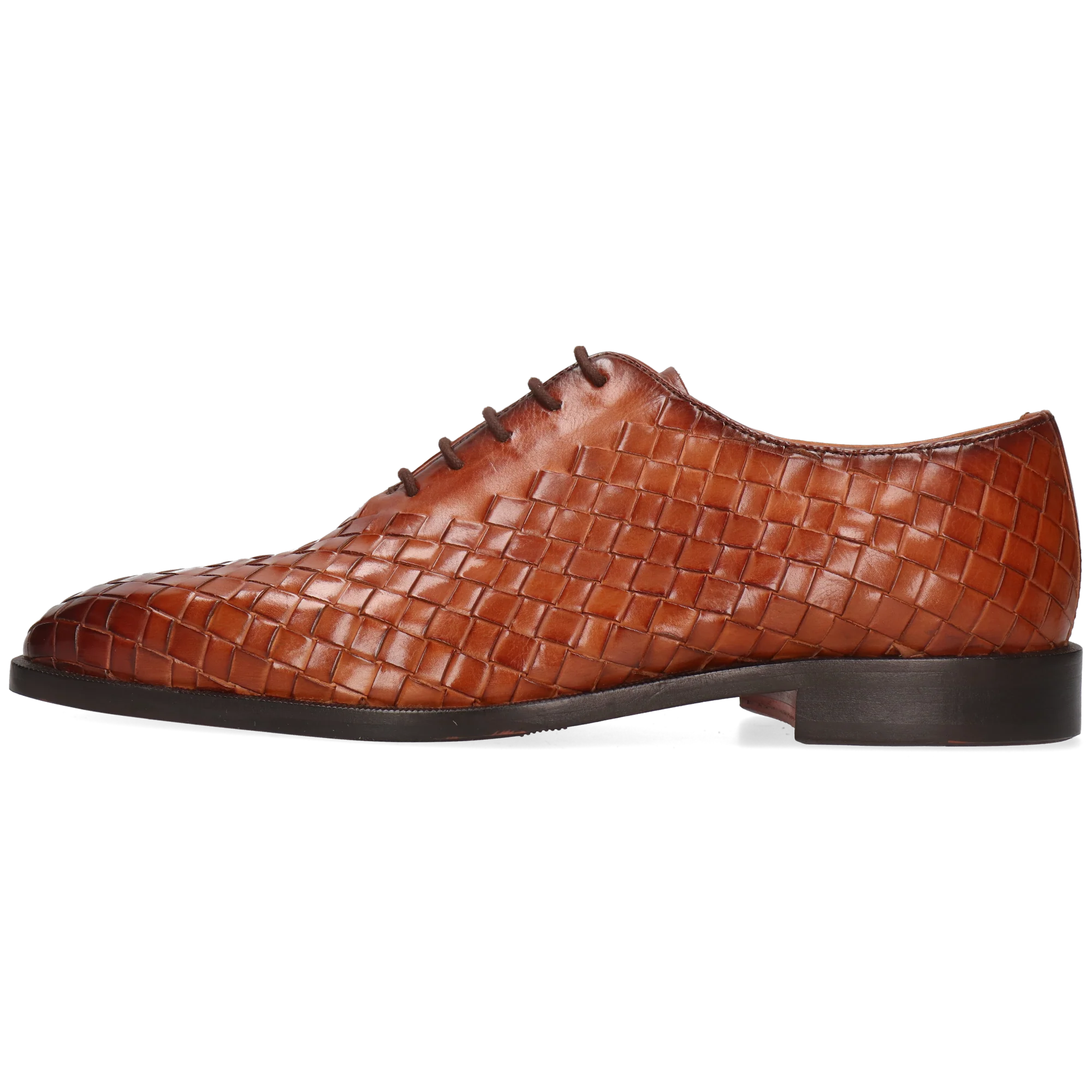 Stefano 8 - Image 3