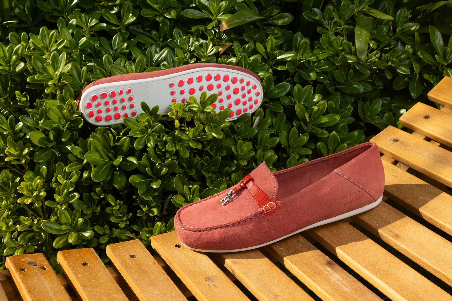 Thea 5 - Image 7