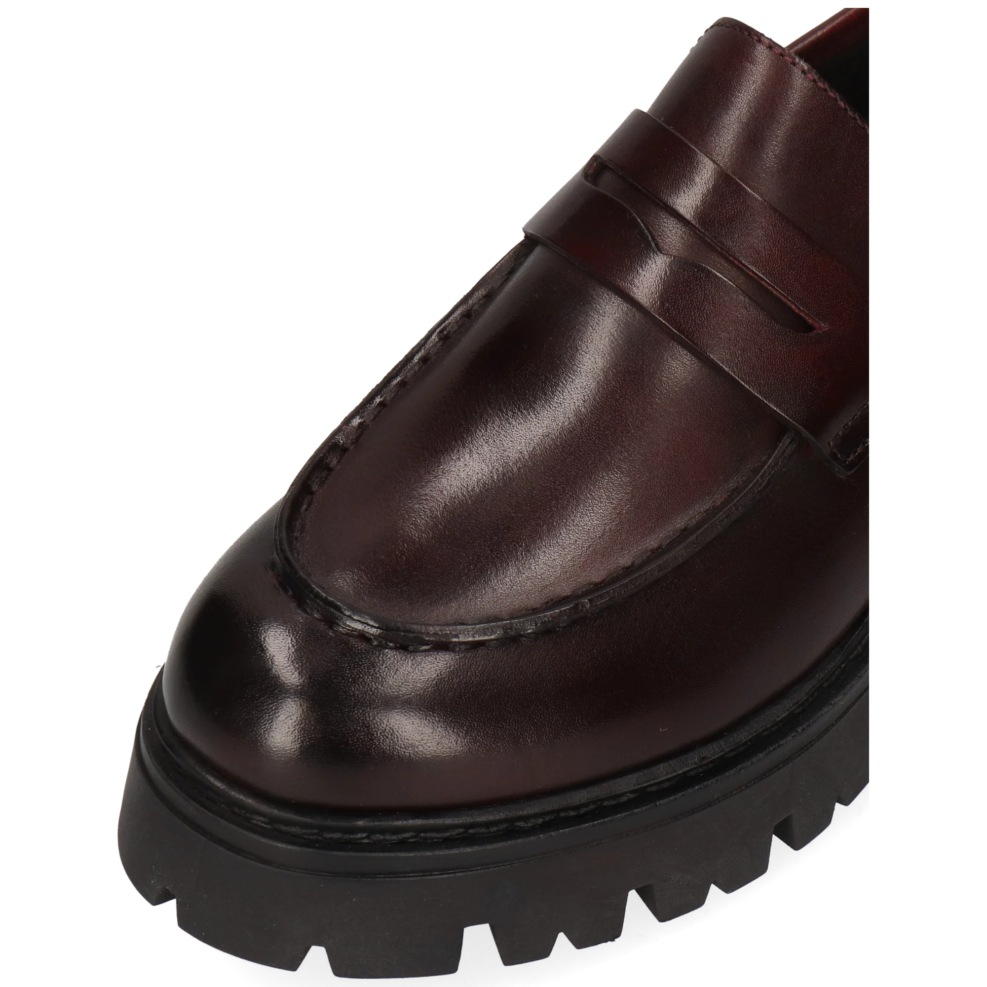 Thelia 7 - Image 5