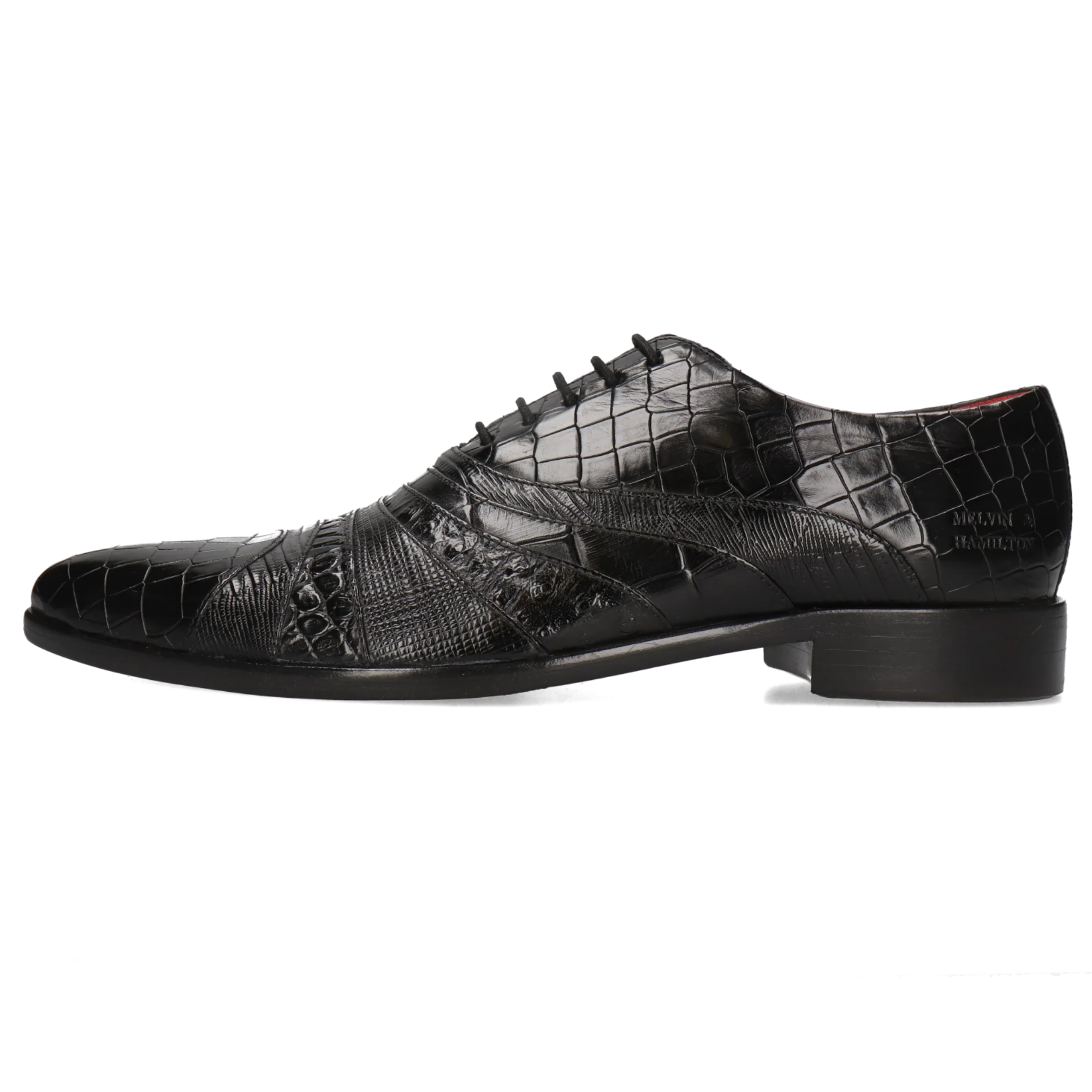 Toni 43 - Image 3