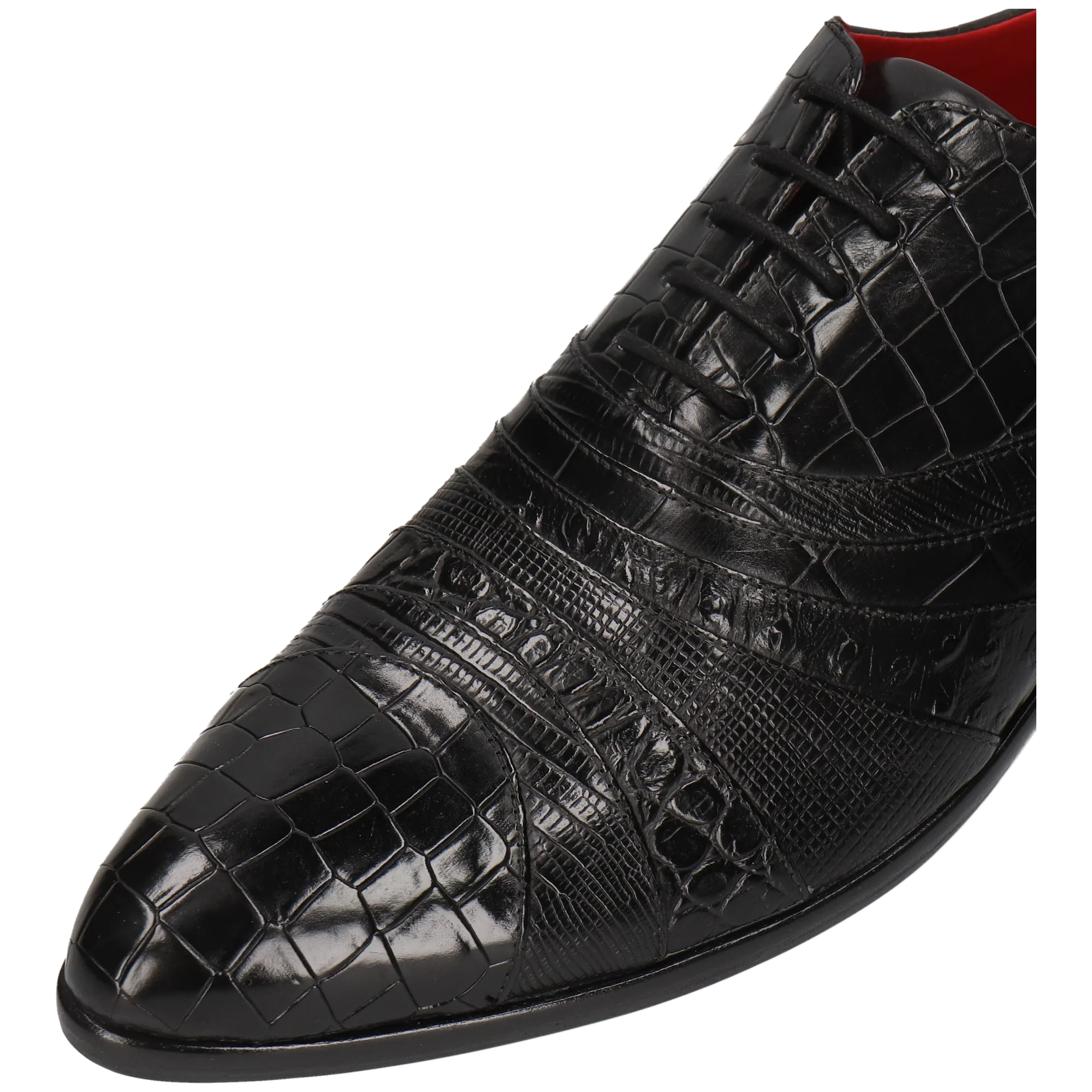 Toni 43 - Image 5