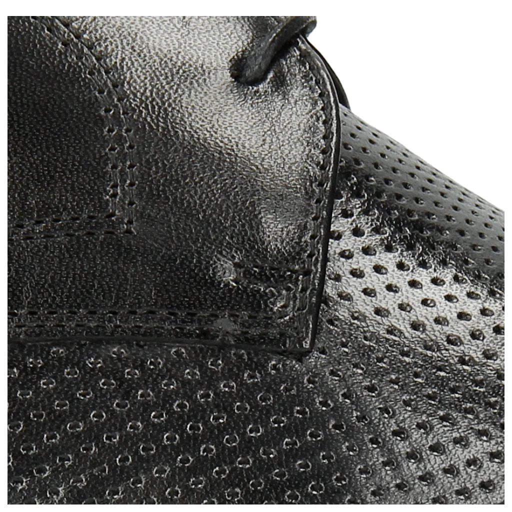 Xander 1 - Image 7